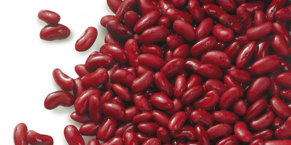مراکز عرضه لوبیا قرمز صادراتی
