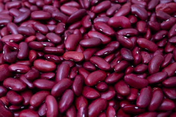 بررسی عوامل موثر بر بالا رفتن قیمت لوبیا قرمز گلستان